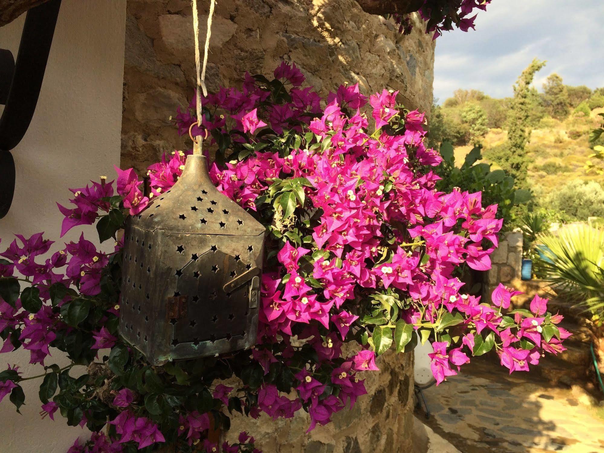 Hotel Villa Tokur Datca Exterior photo